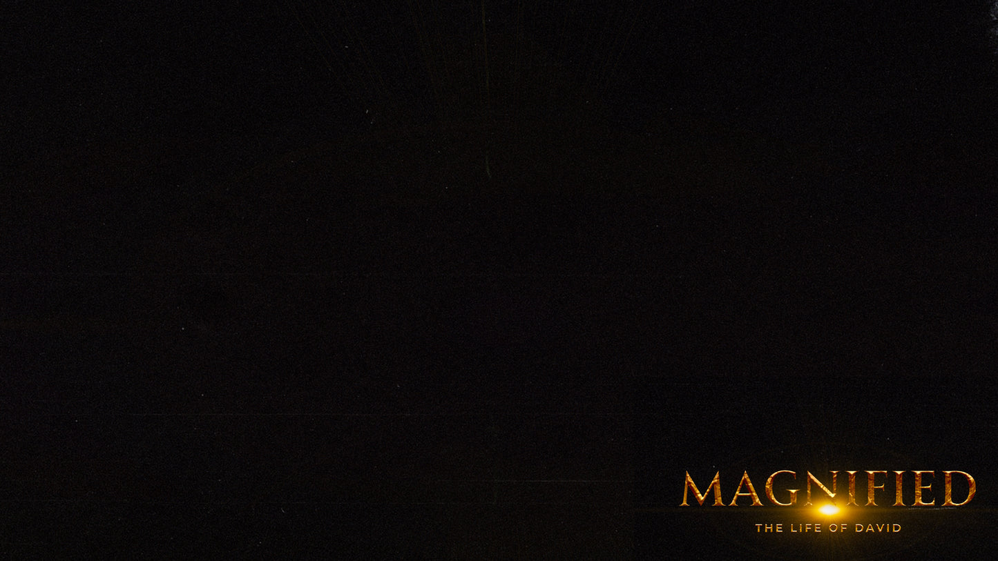 Magnified: The Life of David